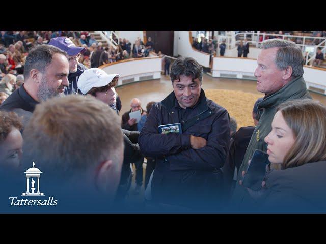 Tattersalls October Yearling Sale, Book 1 Day 1 Review 2024