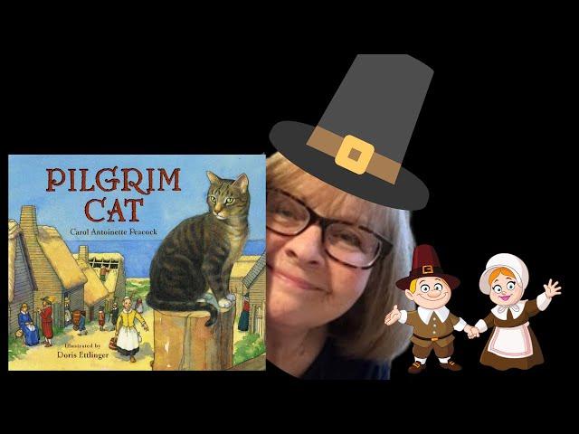 Pilgrim Cat