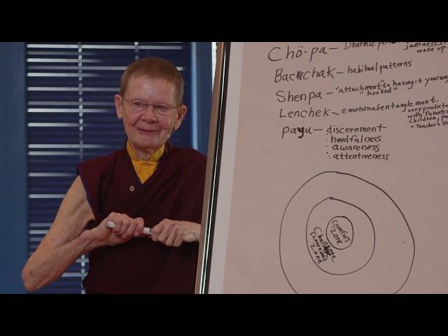 Pema Chödrön: Outside Your Comfort Zone