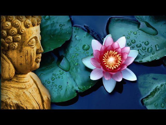 432 Hz | Reiki Music | Healing At All Levels | Manifest Miracles - Healing Frequency Music