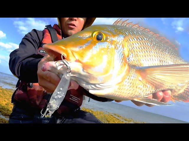 Luretaman Explosion!! [New Lure Vesper Wild]
