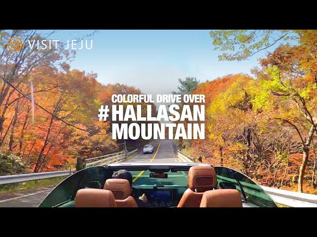 [4K Travel] Colorful Drive Over Hallasan Mountain