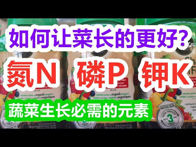 如何恰当的使用氮磷钾NPK肥, 让菜更壮/果实更大,3个数字的含义, 什么时候施肥？