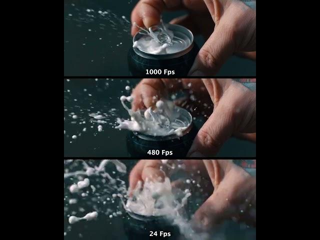 Beer Frame Rate 24fps vs 1000fps