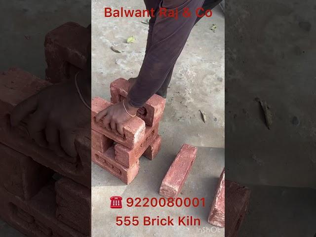 Balwant Raj & Co
