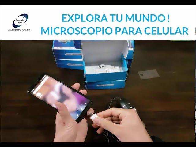 Microscopio USB 1600X