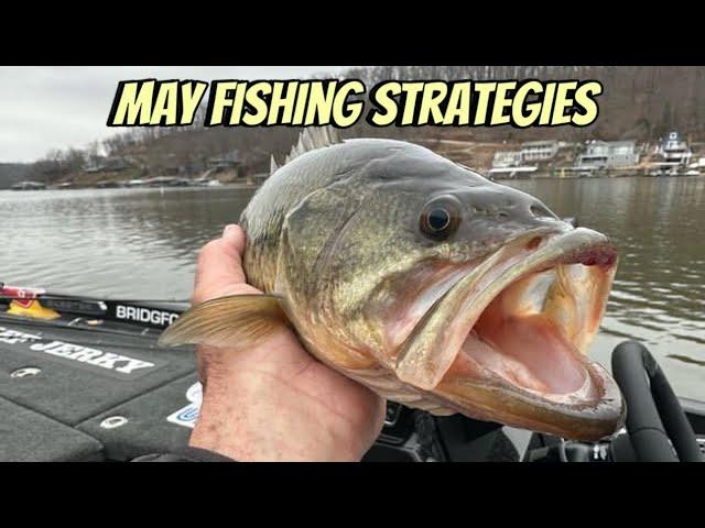 Best 7 Ways To Catch Shallow Bass In May..