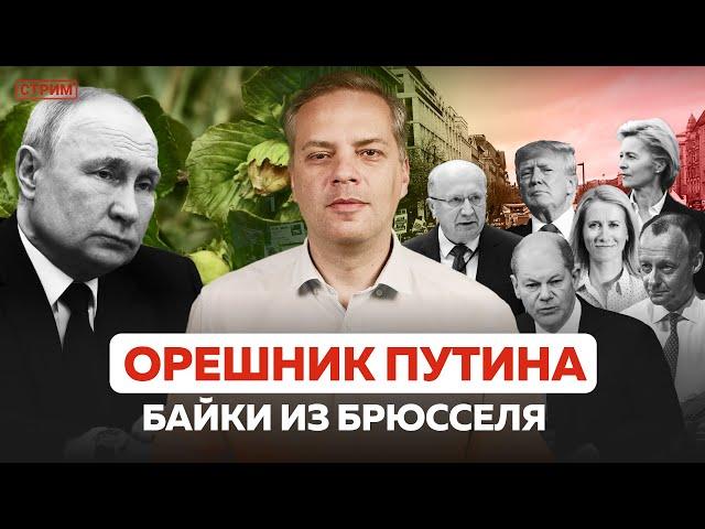 БАЙКИ ИЗ БРЮССЕЛЯ | ОРЕШНИК ПУТИНА | ТРАМП | ОТВЕТЫ НА ВОПРОСЫ