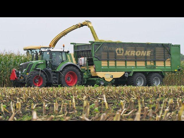 Mais hakselen met Krone Big X 770 | Muller Grondverzet | Maize silage | Steyr | Fendt