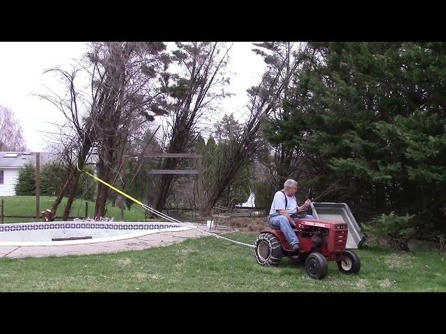 Pulling down an overgrown, vine-entangled Leyland Cypress with a 50 year old Wheel Horse