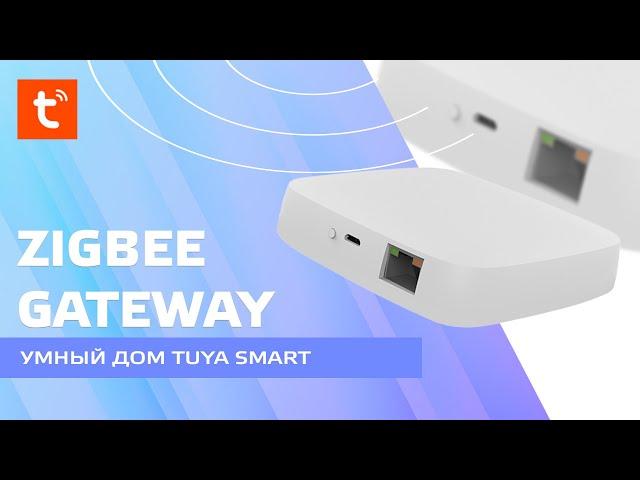 Умный дом Tuya Smart, шлюз Zigbee - Ethernet от Moes, обзор, подключение устройств, возможности