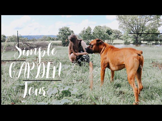 A Day on the Homestead: A Small Vegetable Garden Tour