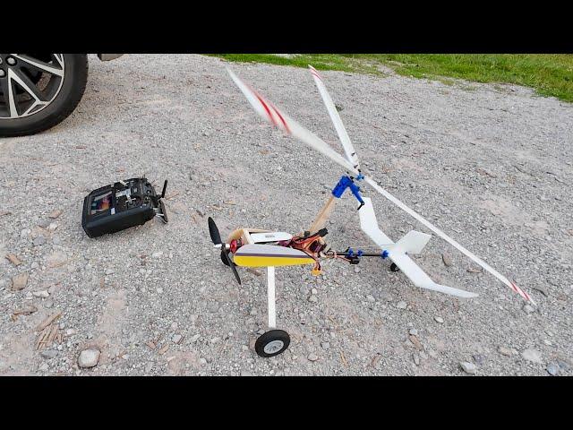 RC Autogyro - Luobo