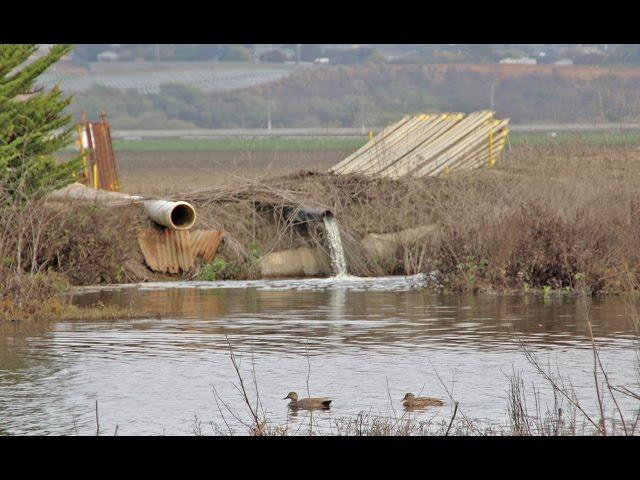 Protección de aguas superficiales DPR (Subtítulos en español)