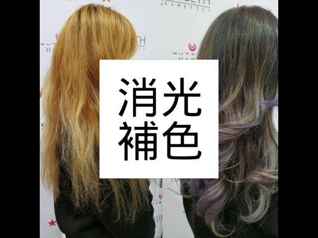 馬丁尼護髮-晨宏國際