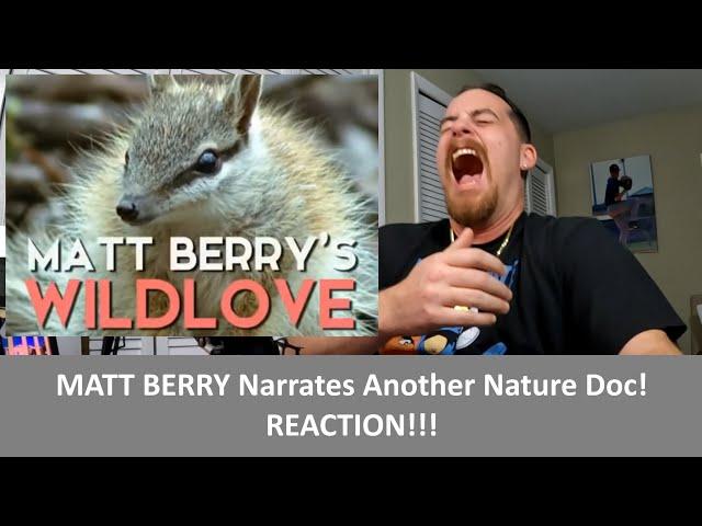 American Reacts MATT BERRY'S Wild Love REACTION