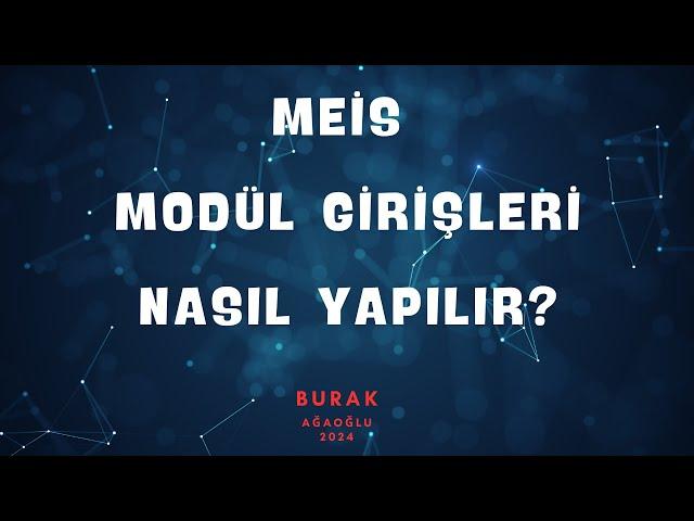 MEİS MODÜL GİRİŞLERİ NASIL YAPILIR?