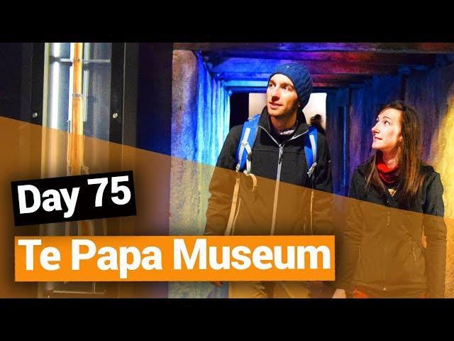 ️ Te Papa Museum in Wellington - New Zealand's Biggest Gap Year – Backpacker Guide New Zealand