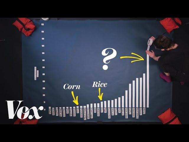 Why beef is the worst food for the climate