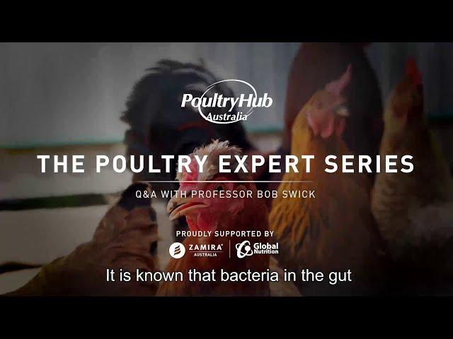 Episode 7 - What is the issue with antibiotic growth promoters and what are the alternatives?