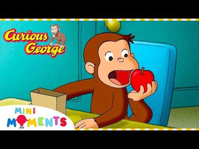 Curious George | George Helps Out! | 1 Hour | Mini Moments