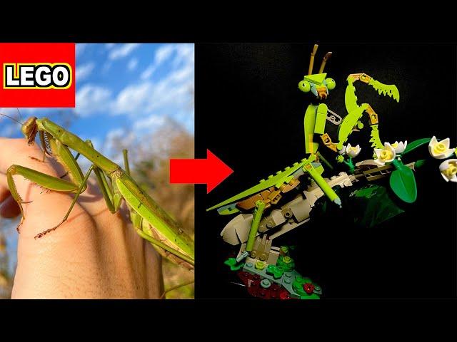 【NEW】LEGO The Insect Collection