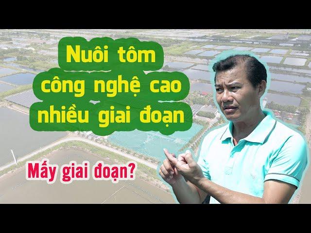 Kỹ thuật nuôi tôm công nghệ cao nhiều giai đoạn