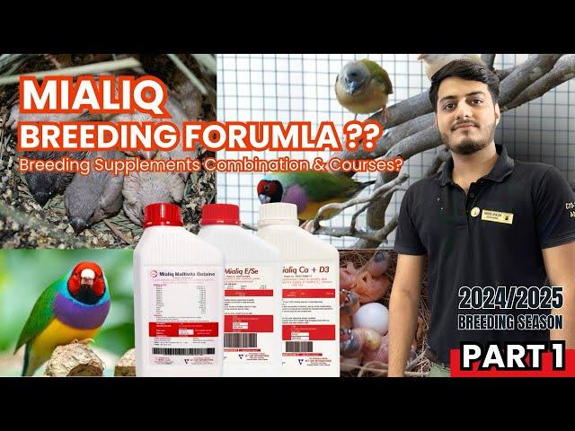 Breeding Formula? || Part 1 - S25 || Mialiq Breeding Supplement Course by HUZAIFA ADVANI