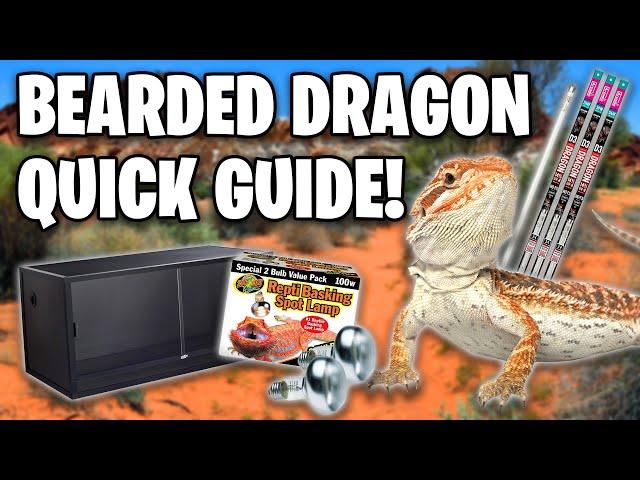 Bearded Dragon Care Guide - Beginners Guide