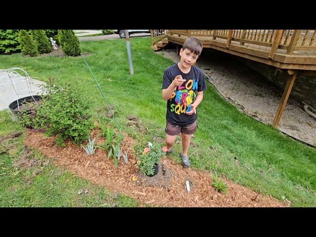 Before and After Garden Transformation: Junior Master Gardener loves to help