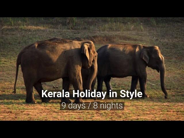 Kerala Holiday in Style