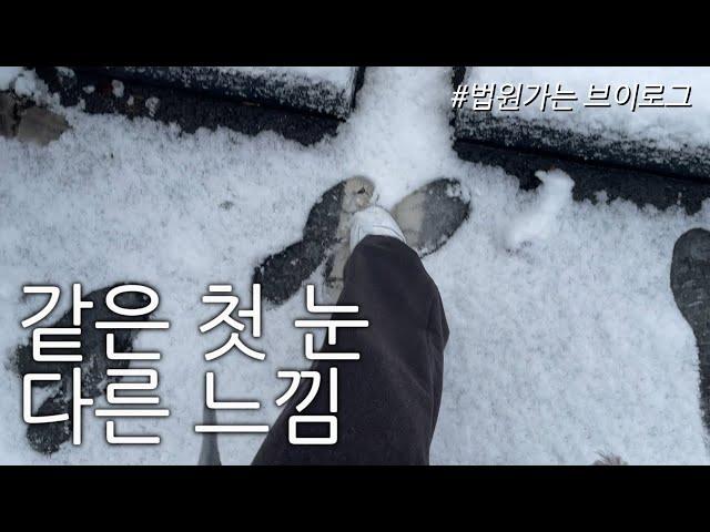 이혼 브이로그 | 로맨틱, 성공적