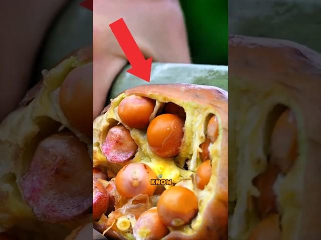 Golden Layers of the Gorgon Fruit  A Cake Like You’ve Never Seen