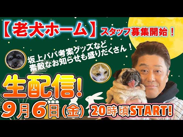 【生配信】『老犬ホーム』スタッフ募集！坂上パパ考案グッズなど素敵なお知らせも盛りだくさん！さて本日の出演ワンコニャンコは誰でしょう！！