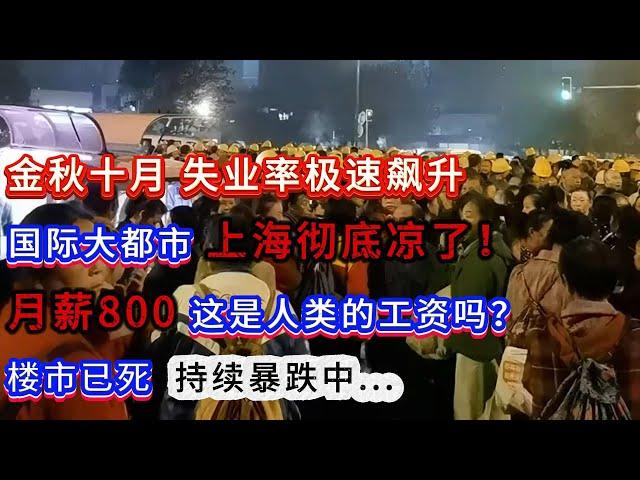 金秋十月 失业率极速飙升，国际大都市 上海彻底凉了！月薪800 这是人类的工资吗？楼市已死  持续暴跌中...