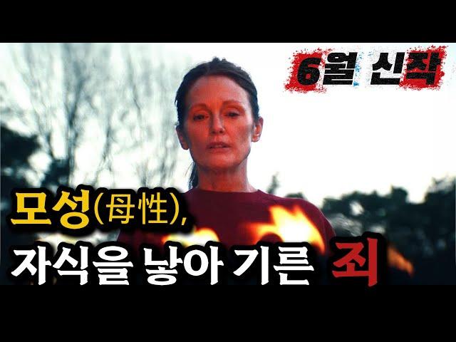 91개국 1위  영화라는걸 망각한 채 2시간을 넋놓고 보게 만드는 추천신작 [결말포함]