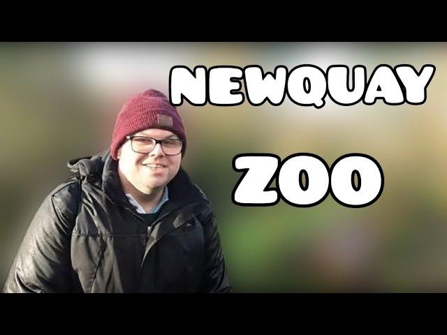 Newquay Zoo & Animal wildlife park Vlog Jan 2023