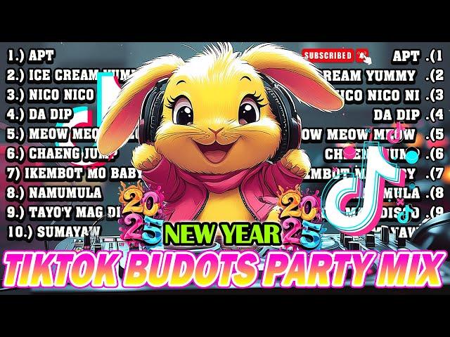 New VIRAL TIKTOK DISCO PARTY 2025 - TRENDING BUDOTS DANCE REMIX 2024 - DJ BIG HENRY