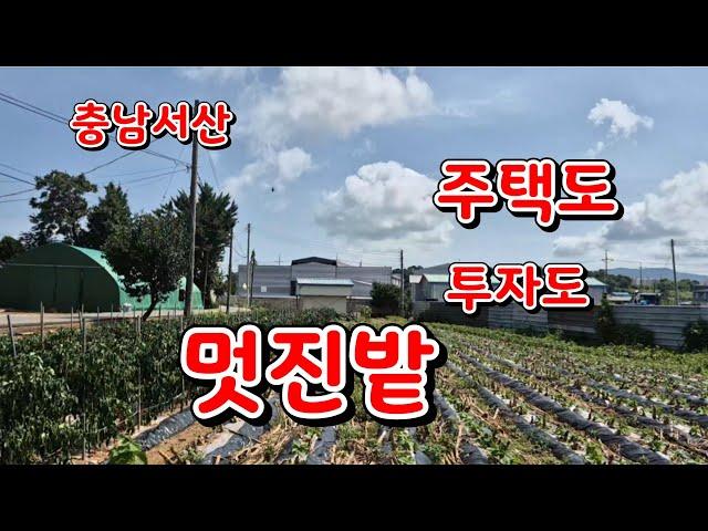 [물건19번]주택 건축용 투자용 충남서산 토지매매 서산토지매매 전원주택 서산 황금알  부동산 010 7553 6586