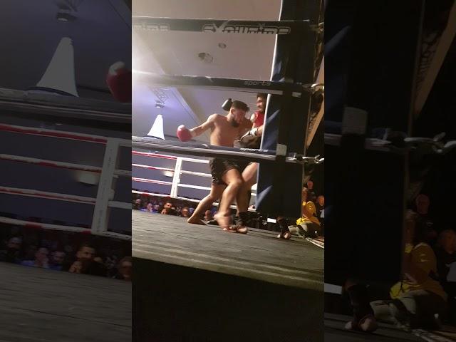 Fight Night Knockout in Holland