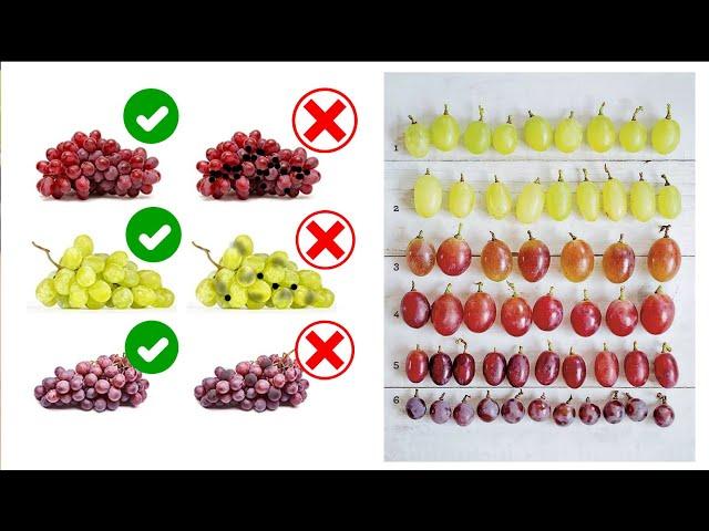 How to pick sweet juicy grapes every time! | 4 secret tips for choosing grapes | Plus bonus content.