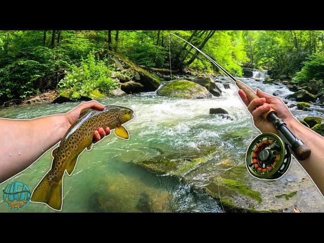 Fly Fishing Heaven! The Trout were Underneath Every Rock!