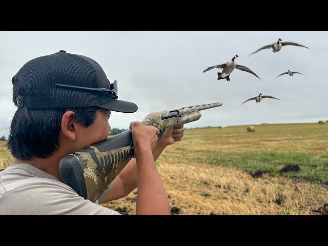 Goose Hunting BANDED Geese on PUBLIC LAND! (CATCH CLEAN COOK)