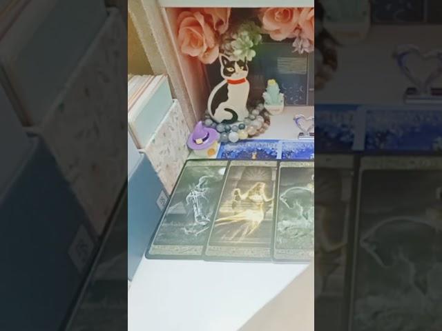 【吉吉占卜】他/她對你隱藏的想法