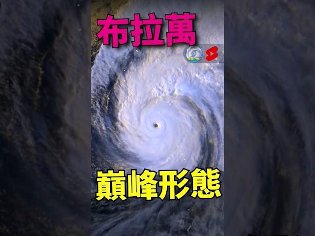 布拉萬颱風 最強巔峰形態 #颱風 #颱風速報 #巔峰 #布拉萬 #fypシ #fyp #shorts #short