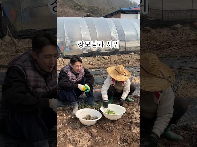 주서방 연락 안되면 장인어른한테 걸린중만 알오 #밸런스게임 #임영웅 #주말농장