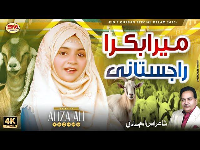 Mera Bakra Rajastani  | New Beautiful Bakra Eid 2025  | Aliza Ali