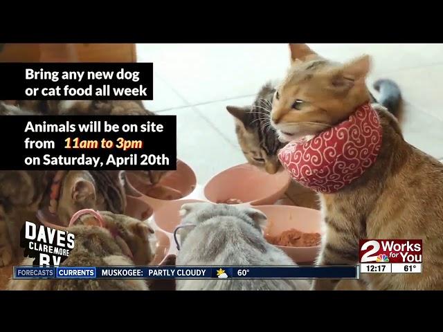 Dave's RV in Claremore holding pet adoption event