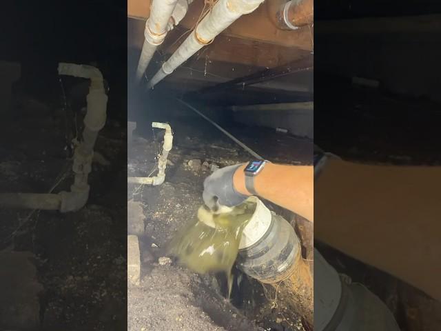 Dealing with a sewer back up that could only be accessed from a crawlspace. #HandsomeOrHandy