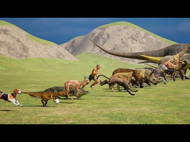 Animals Speed Comparison | Present and Prehistoric